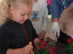 50127582011671287752150697512037510535041837n